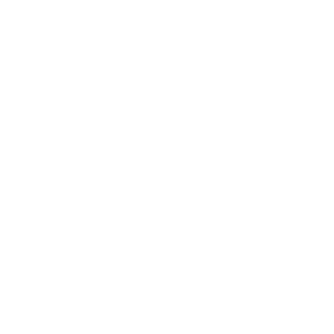 Vulu